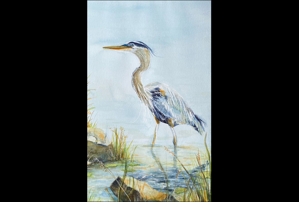 Heron