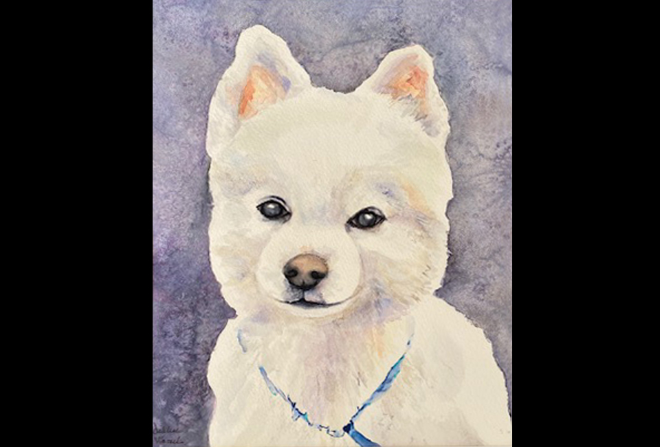 Dog Portait I