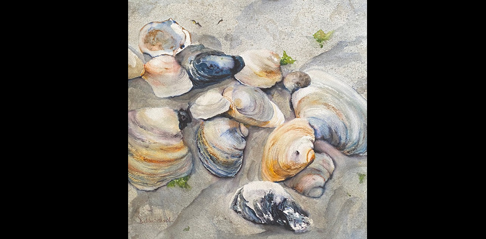 It's A Shellabration Watercolor Painting