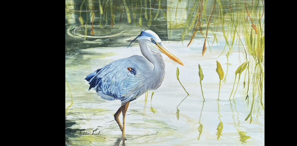 On the Marsh