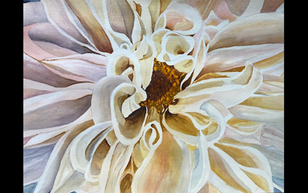 Dahlia