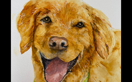 Dog Portrait II