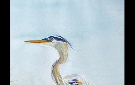 Heron