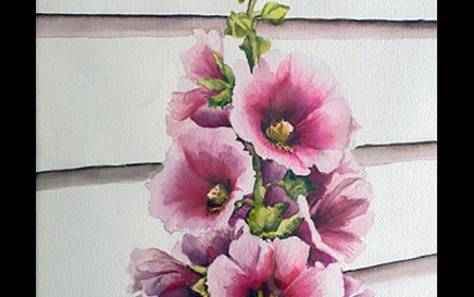 Hollyhock