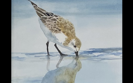 I Sea You Watercolor Painting