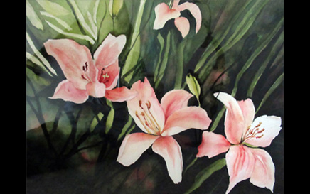 Lillies