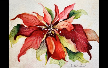 Poinsettia
